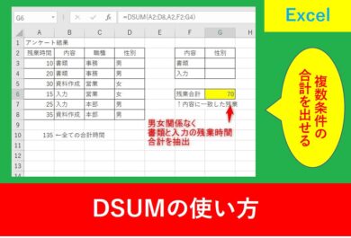 DSUMの使い方と使用方法